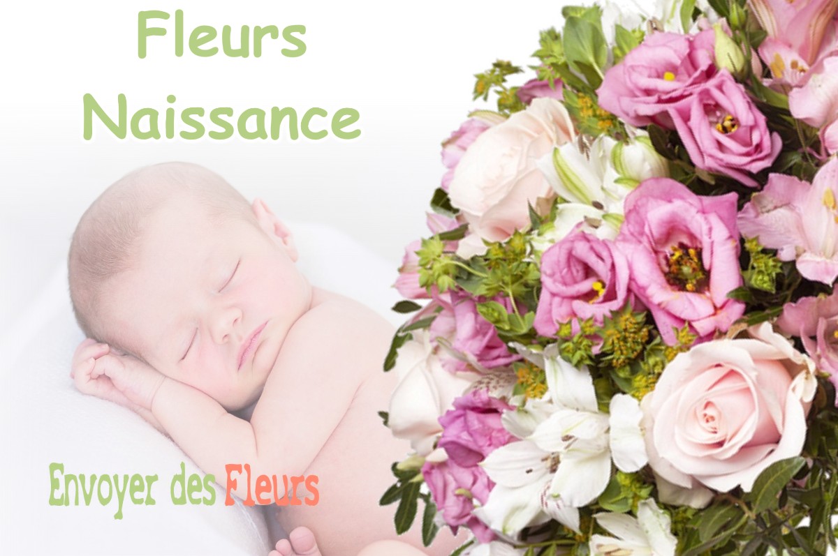 lIVRAISON FLEURS NAISSANCE à LA-BATIE-DIVISIN